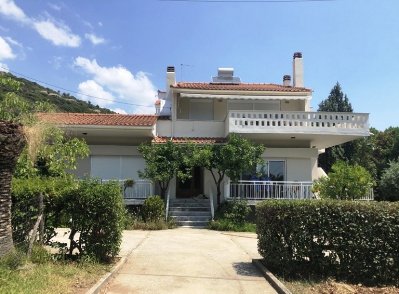 Detached House on a Large Plot-1